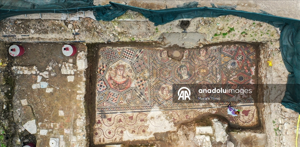 В турецком Изнике нашли красочную мозаику III века