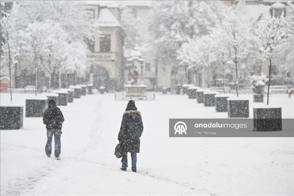 Южные регионы Польши засыпало снегом