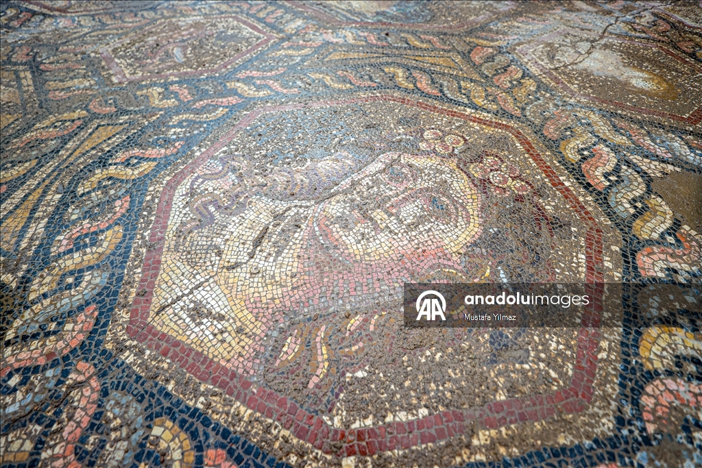 В турецком Изнике нашли красочную мозаику III века
