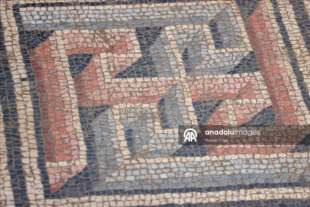 В турецком Изнике нашли красочную мозаику III века
