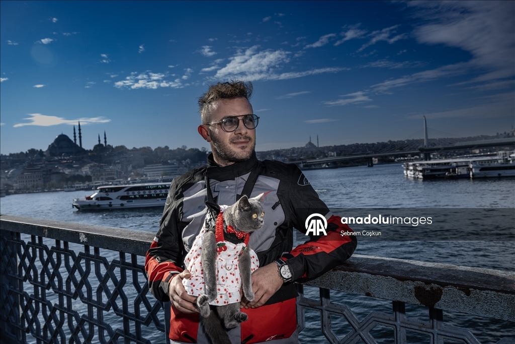 На улицах Стамбула появился кот-мотоциклист