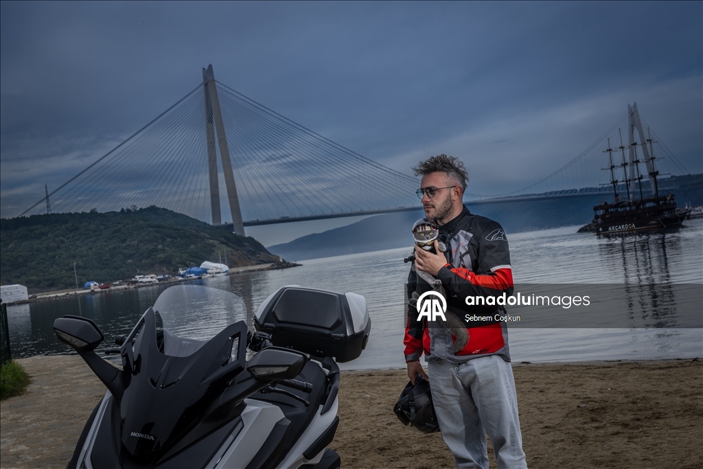 На улицах Стамбула появился кот-мотоциклист