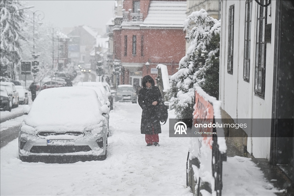 Южные регионы Польши засыпало снегом