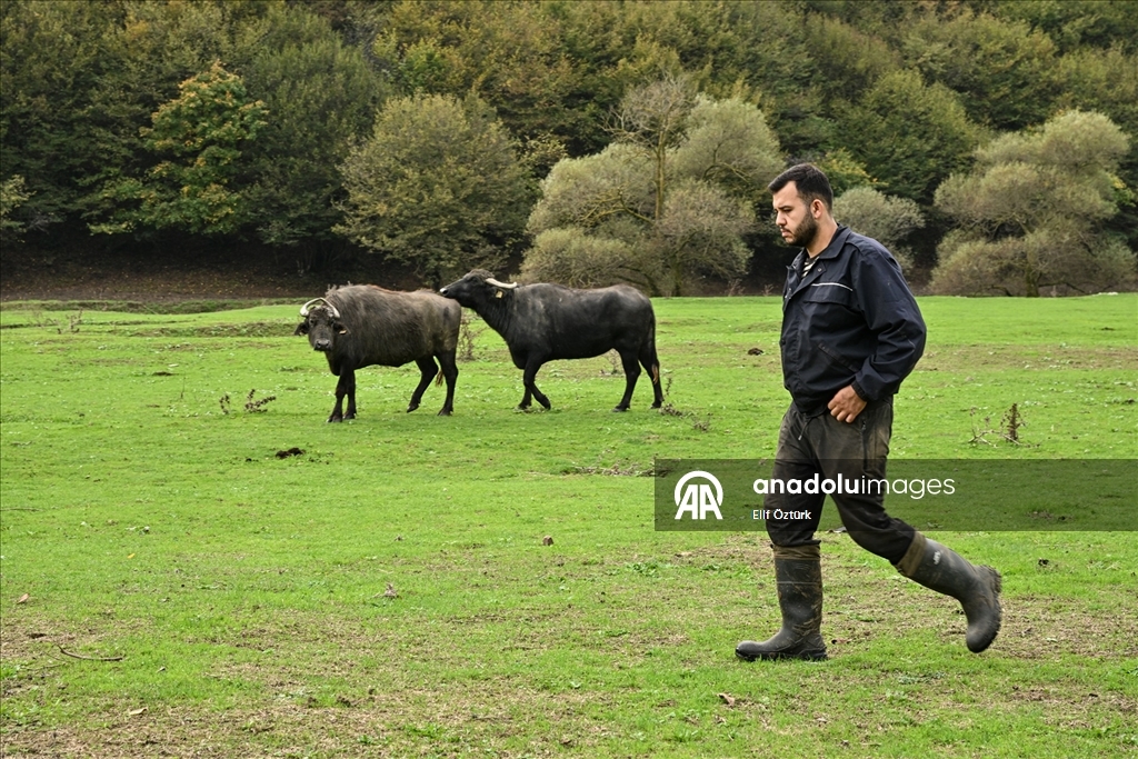 İstanbul'un köy hayatı süren mahallelerinde stresten uzak organik yaşam