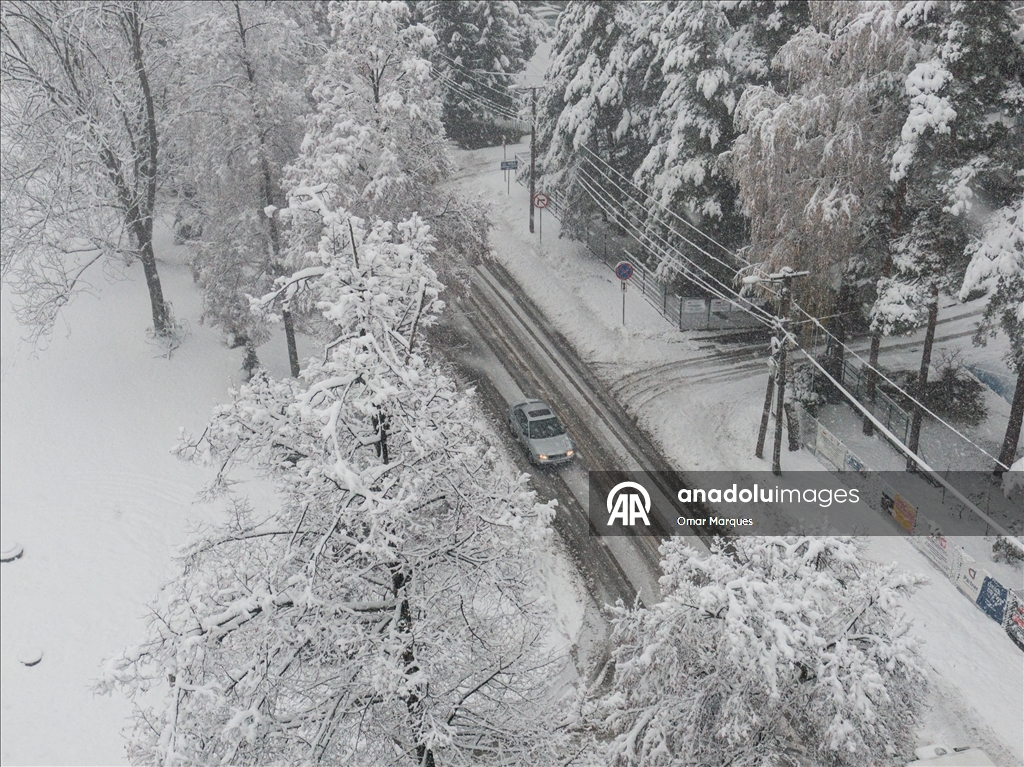 Южные регионы Польши засыпало снегом