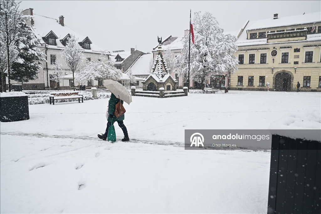 Южные регионы Польши засыпало снегом