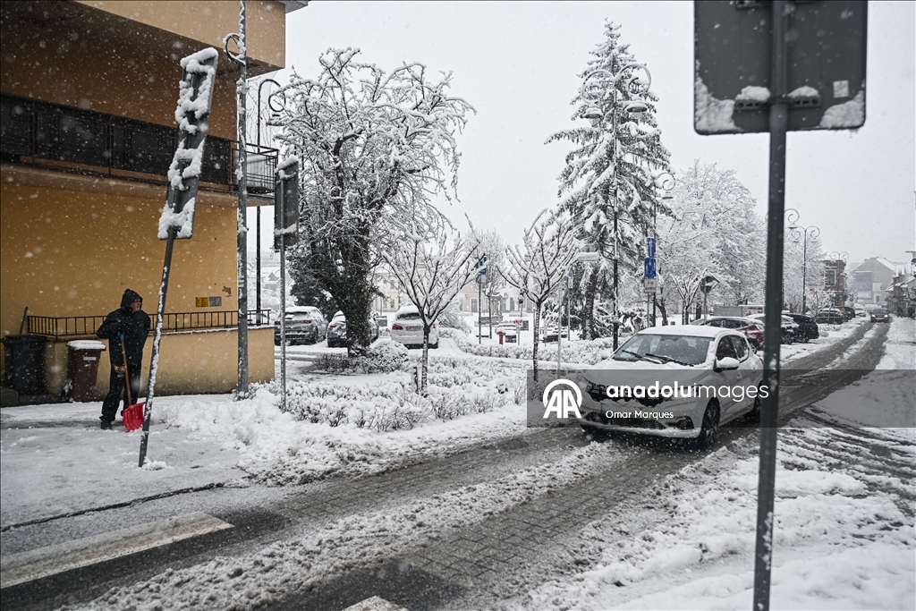 Южные регионы Польши засыпало снегом