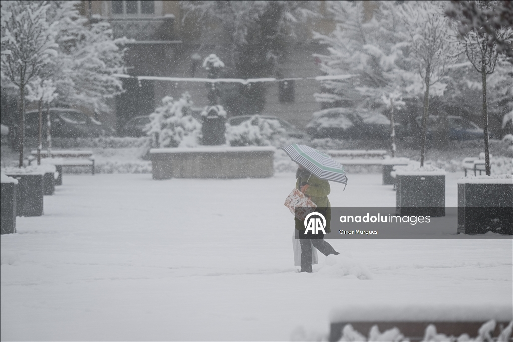 Южные регионы Польши засыпало снегом