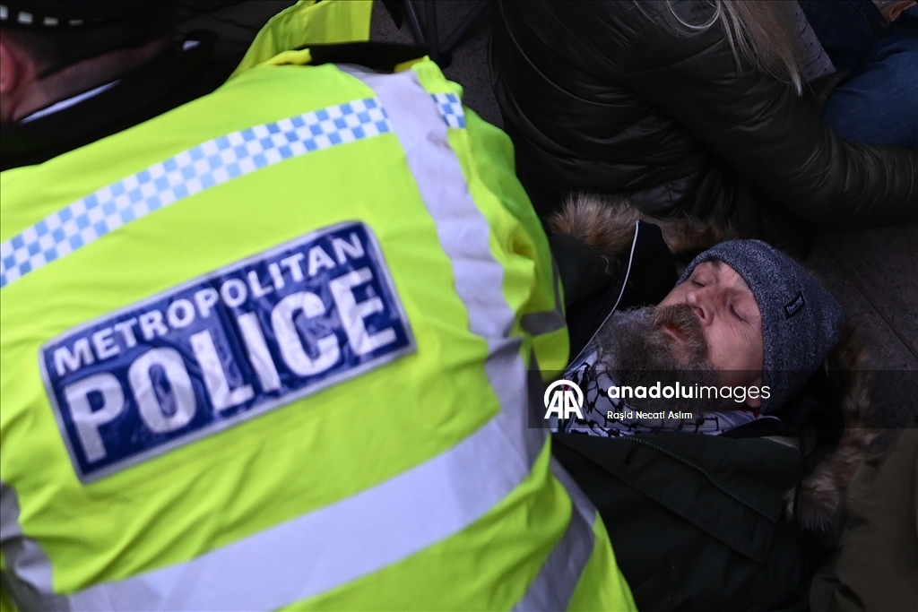 В Лондоне задержаны десятки участников акции в поддержку Palestine Action