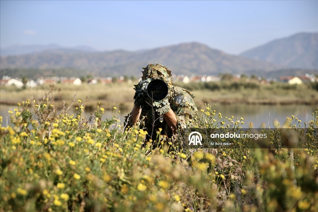 Fethiye'de Kuş Cenneti'nin sakinleri, fotoğrafçılara renkli kareler sunuyor