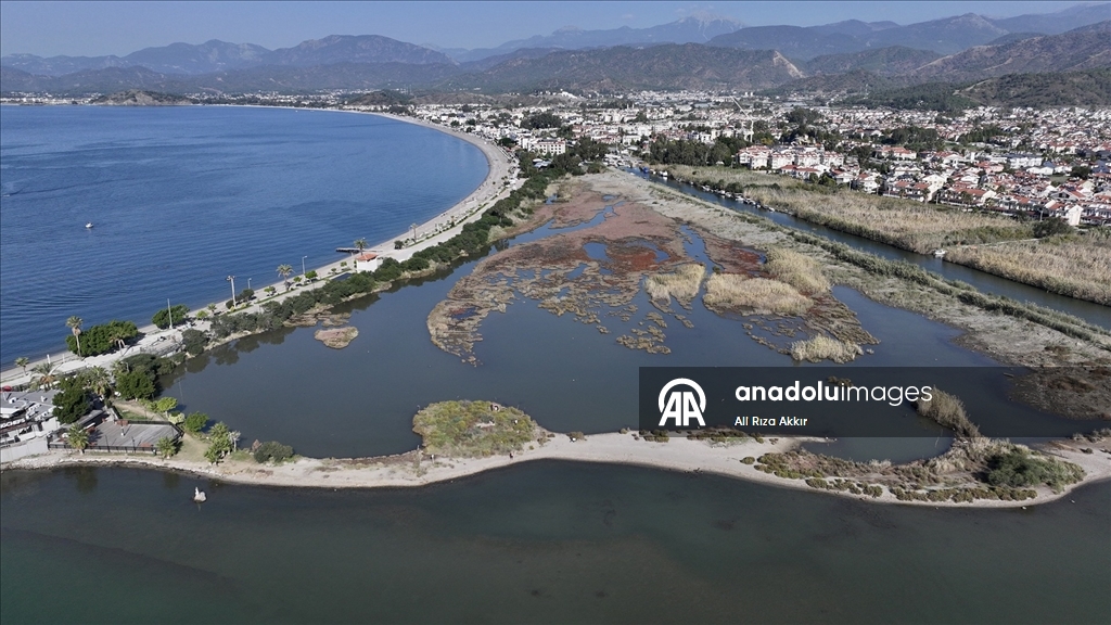 Fethiye'de Kuş Cenneti'nin sakinleri, fotoğrafçılara renkli kareler sunuyor