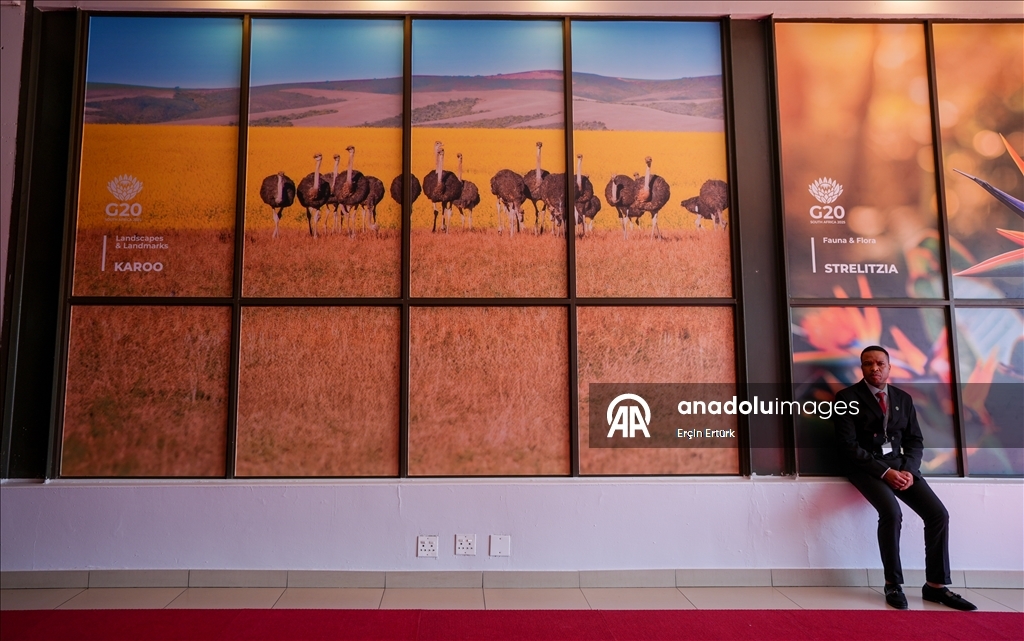 В Йоханнесбурге открылся саммит лидеров стран Группы двадцати