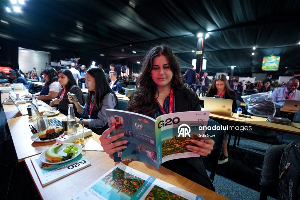 В Йоханнесбурге открылся саммит лидеров стран Группы двадцати