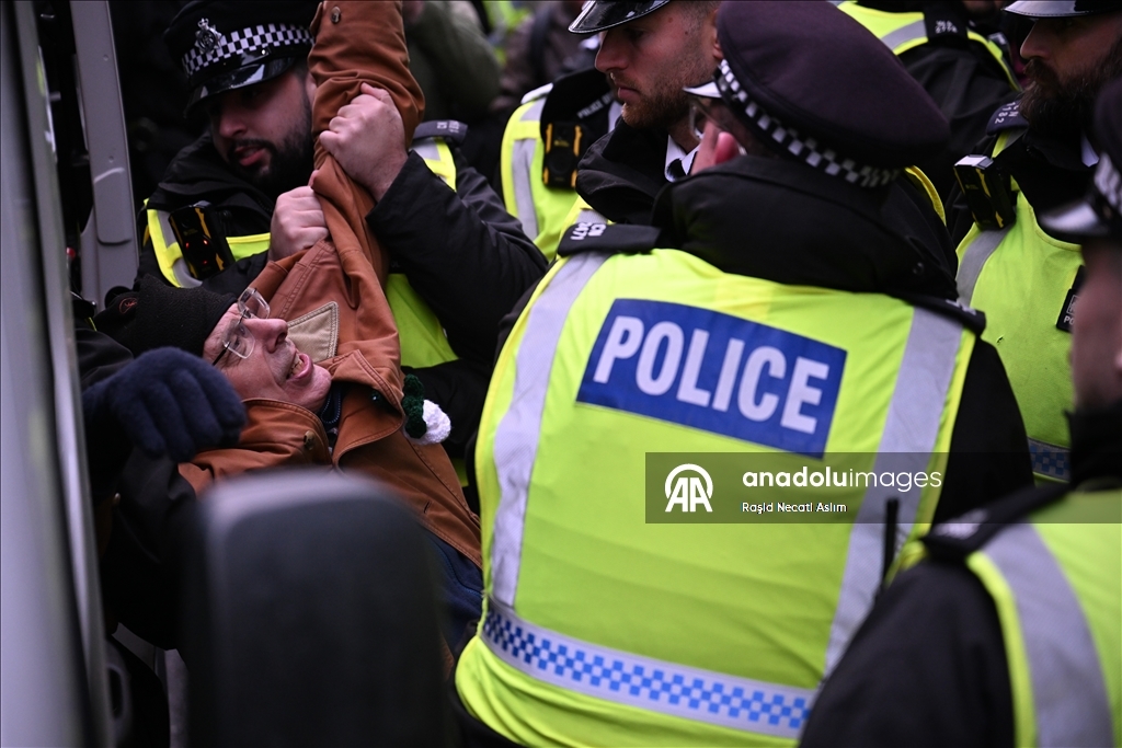 В Лондоне задержаны десятки участников акции в поддержку Palestine Action