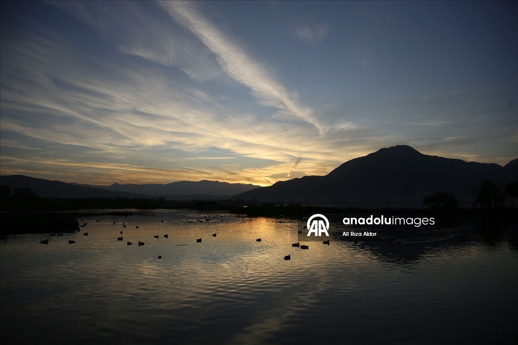 Fethiye'de Kuş Cenneti'nin sakinleri, fotoğrafçılara renkli kareler sunuyor