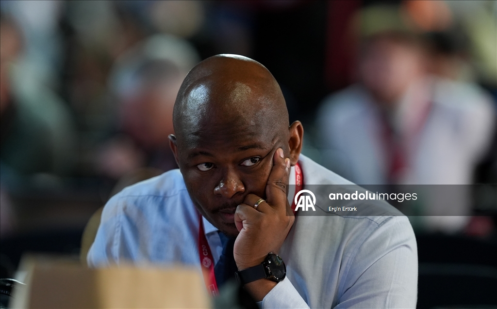 В Йоханнесбурге открылся саммит лидеров стран Группы двадцати