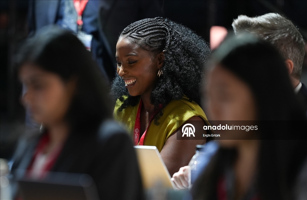 В Йоханнесбурге открылся саммит лидеров стран Группы двадцати