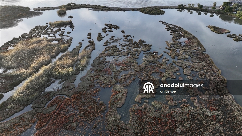 Fethiye'de Kuş Cenneti'nin sakinleri, fotoğrafçılara renkli kareler sunuyor