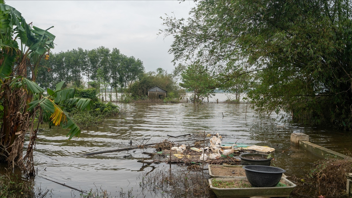 Vietnam'ın Hue kentinde selin etkileri devam ediyor
