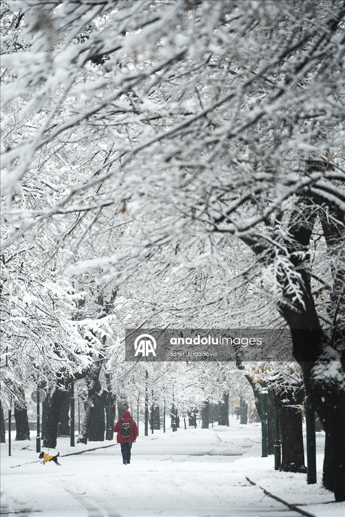 Столица Боснии и Герцеговины Сараево покрылась снегом