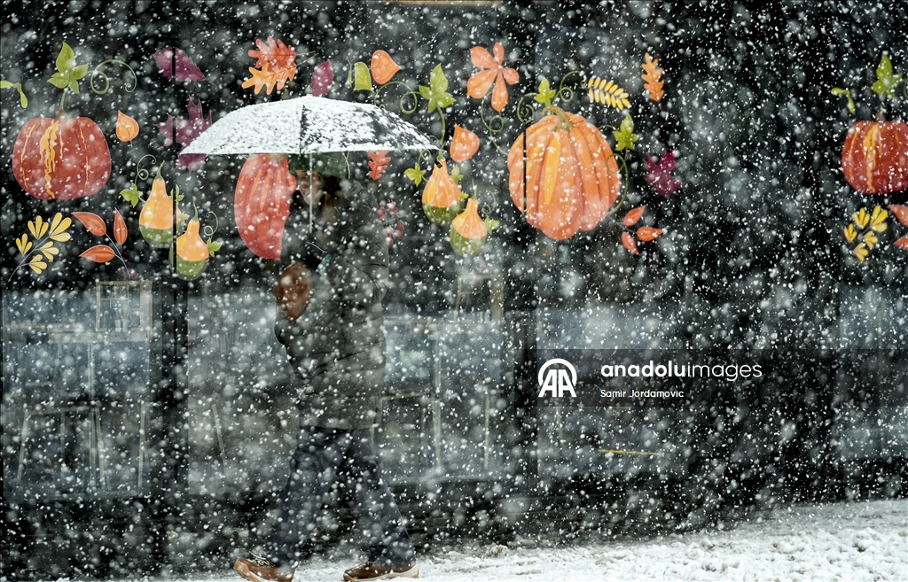 Столица Боснии и Герцеговины Сараево покрылась снегом