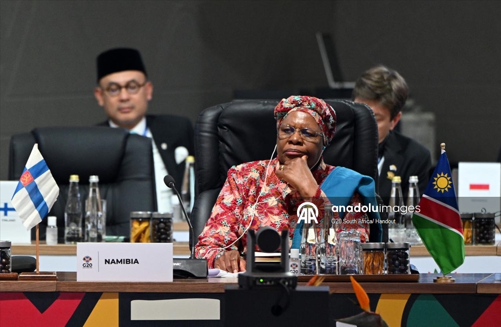 Саммит G-20 в Йоханнесбурге