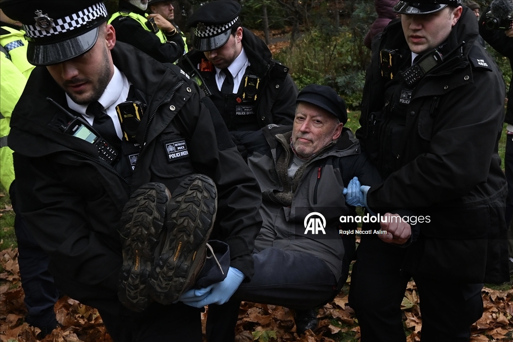 Полиция Лондона задержала не менее 90 участников акции в поддержку Palestine Action