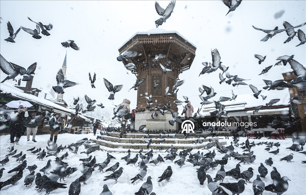 Столица Боснии и Герцеговины Сараево покрылась снегом