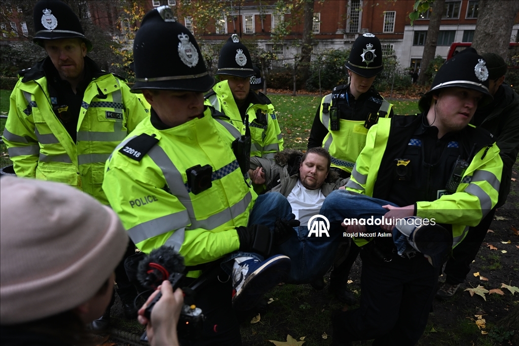 Полиция Лондона задержала не менее 90 участников акции в поддержку Palestine Action