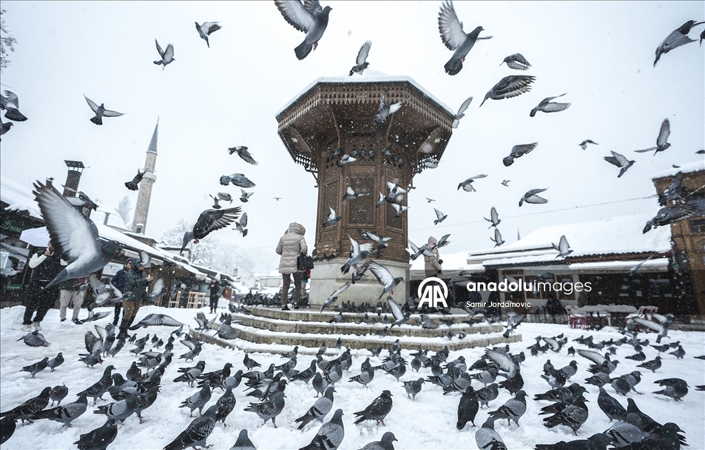 Столица Боснии и Герцеговины Сараево покрылась снегом