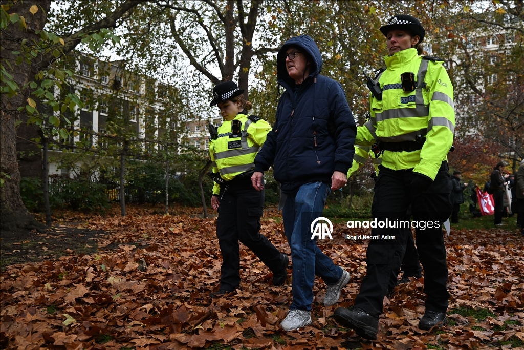 Полиция Лондона задержала не менее 90 участников акции в поддержку Palestine Action