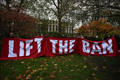 Полиция Лондона задержала не менее 90 участников акции в поддержку Palestine Action