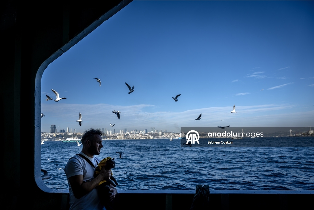 بخوذتها وثيابها.. قطة ترافق صاحبها التركي على دراجته النارية