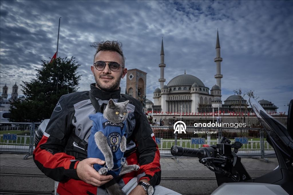 بخوذتها وثيابها.. قطة ترافق صاحبها التركي على دراجته النارية