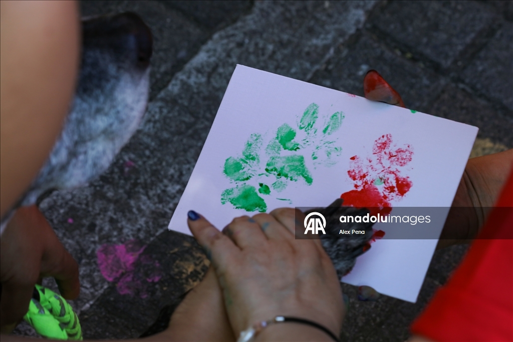 В Сан-Сальвадоре устроили яркий рождественский парад собак