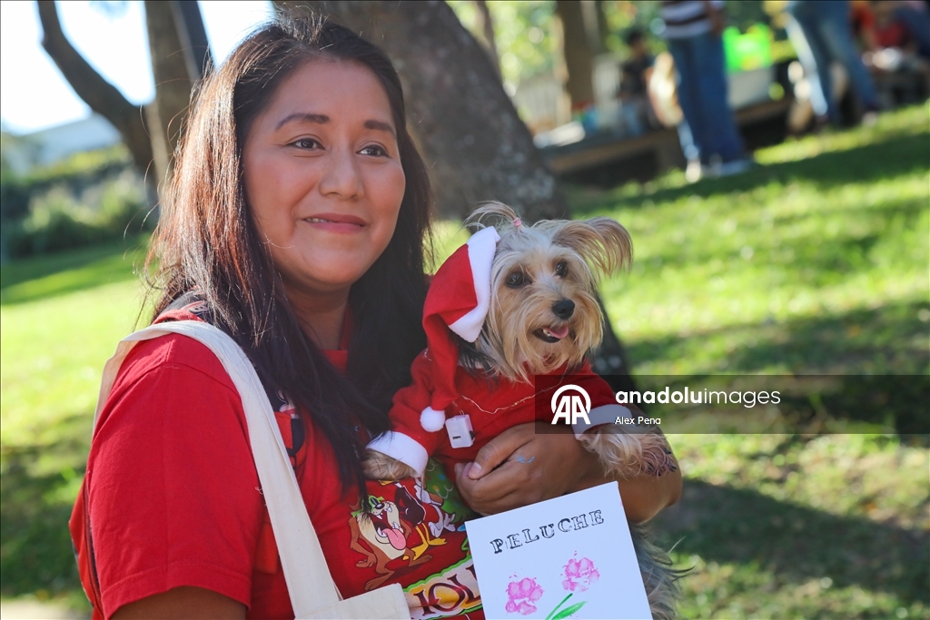 В Сан-Сальвадоре устроили яркий рождественский парад собак