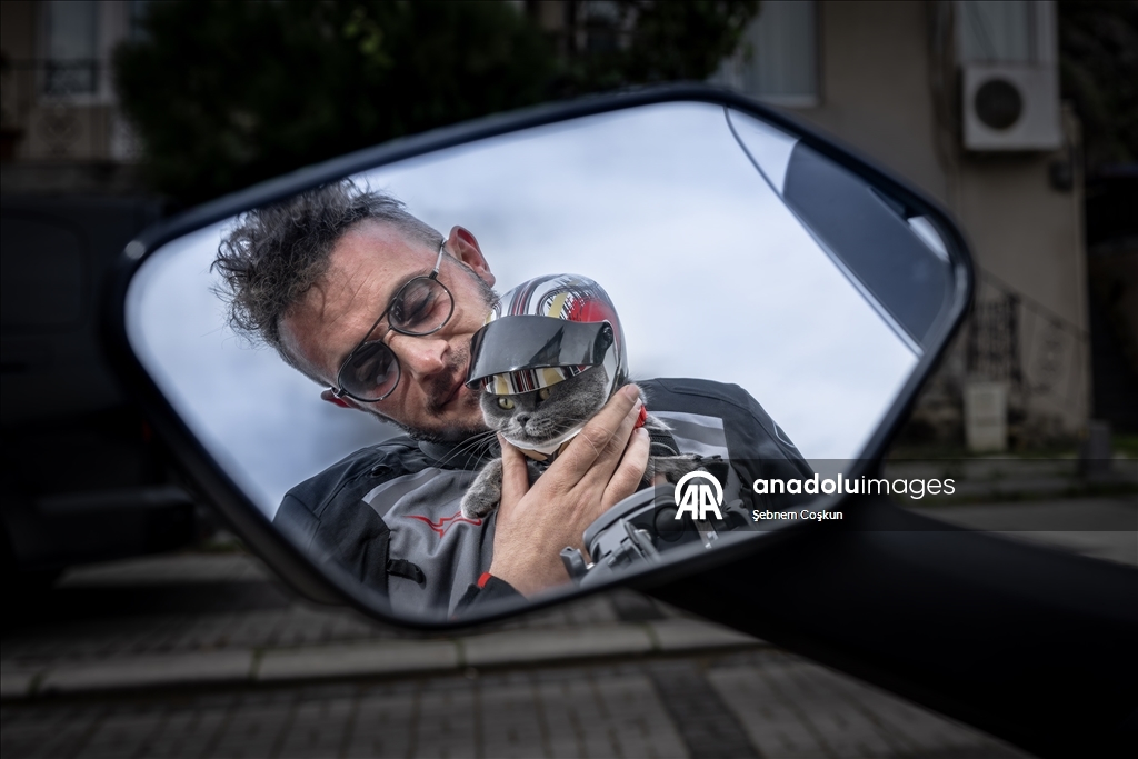 بخوذتها وثيابها.. قطة ترافق صاحبها التركي على دراجته النارية