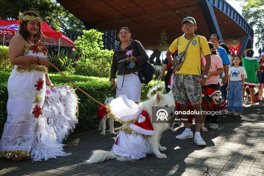 В Сан-Сальвадоре устроили яркий рождественский парад собак
