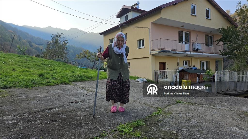 بدأت الرسم في السبعين.. مسنة تركية تتمسك بريشتها