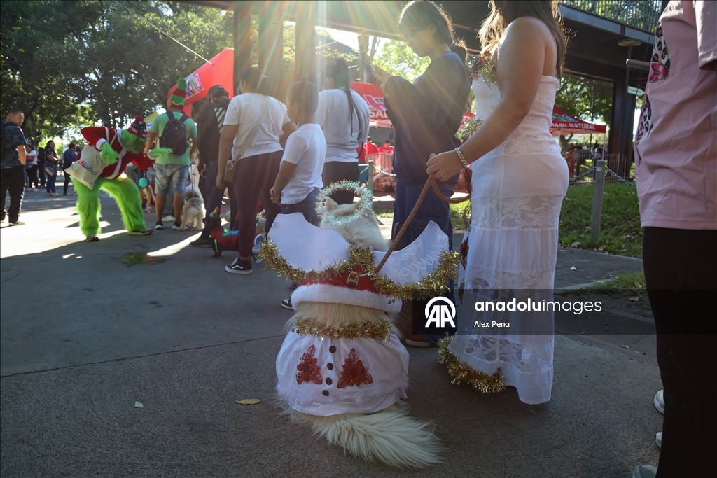 В Сан-Сальвадоре устроили яркий рождественский парад собак