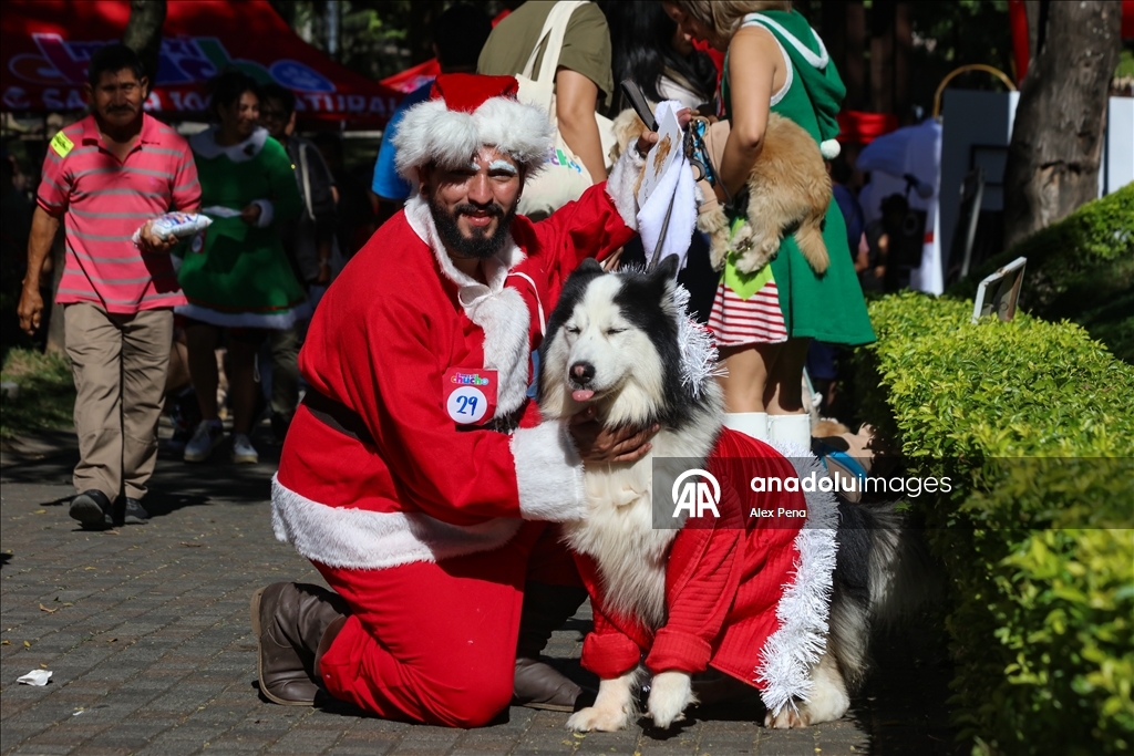 В Сан-Сальвадоре устроили яркий рождественский парад собак