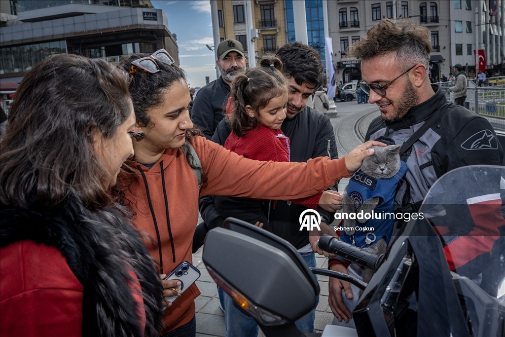 بخوذتها وثيابها.. قطة ترافق صاحبها التركي على دراجته النارية