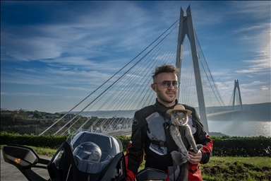 بخوذتها وثيابها.. قطة ترافق صاحبها التركي على دراجته النارية