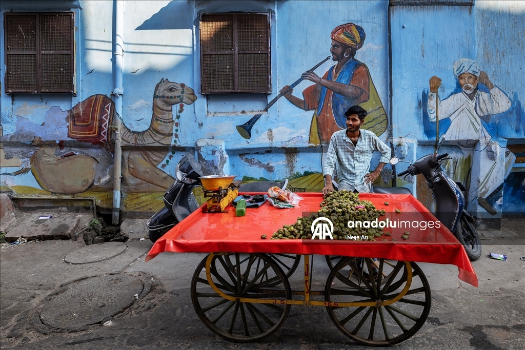 Hindistan’ın mavi şehri: Jodhpur