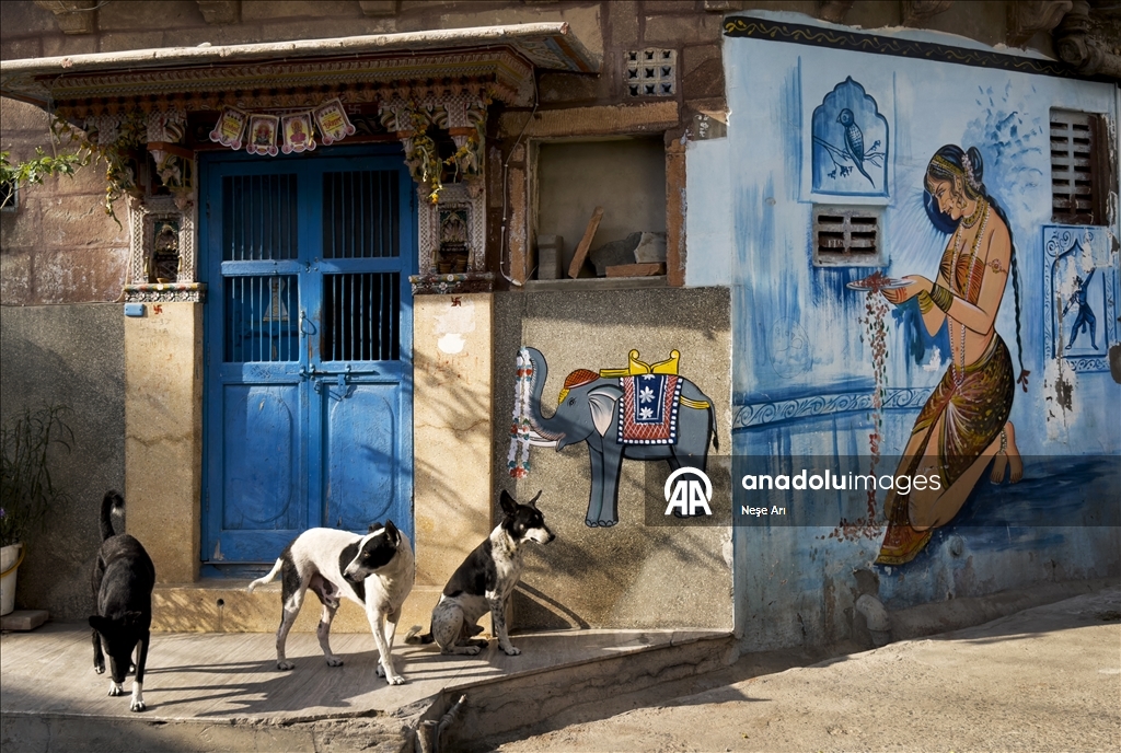 Hindistan’ın mavi şehri: Jodhpur