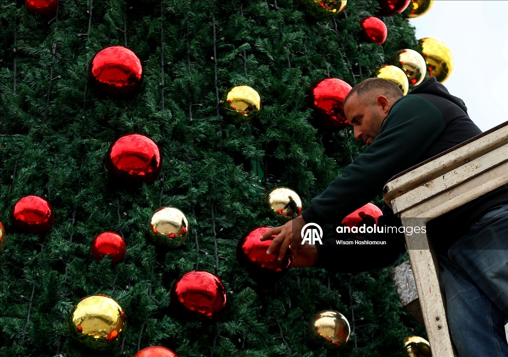 بشجرة "الصمود".. بيت لحم تتزين لعيد الميلاد