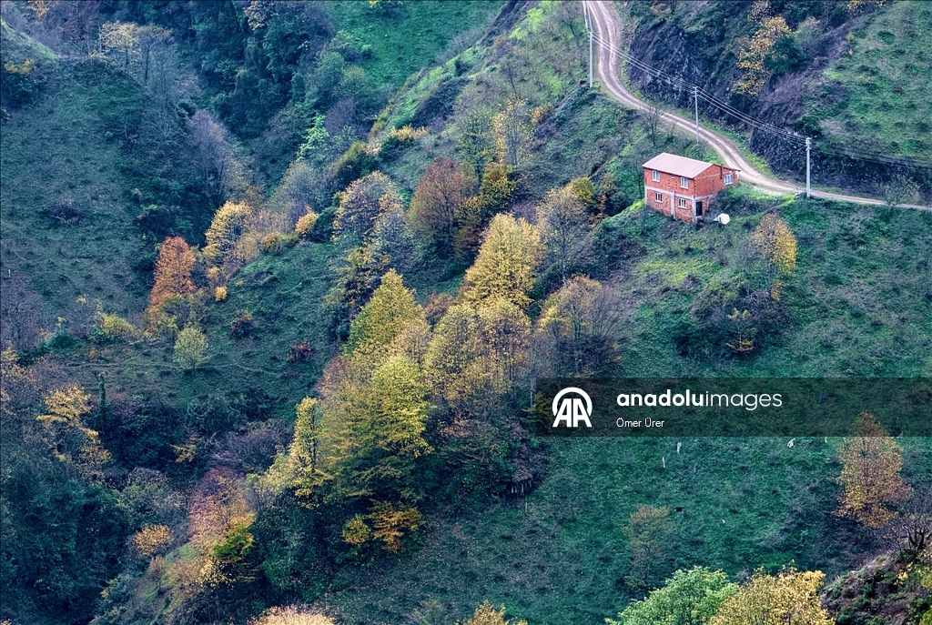 Autumn season in Turkiye's Duzce