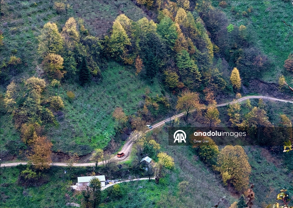 Autumn season in Turkiye's Duzce