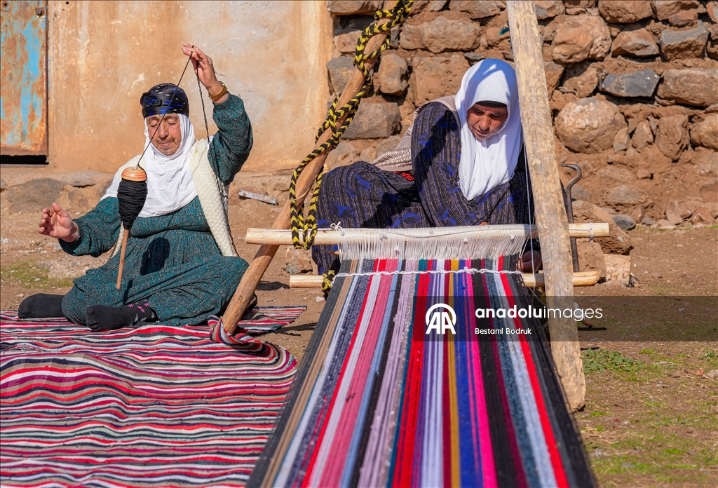 Bi tevna ku li baxçeyê xwe daniye va merş û xalîçeyan radiçîne