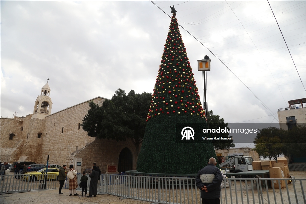 بشجرة "الصمود".. بيت لحم تتزين لعيد الميلاد